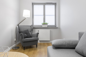 Living room with grey armchair