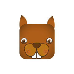 cute chipmunk animal head expression, vector illustration