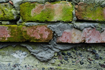 Old bricks wall with lichens and moss
