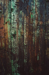 the brown old wood texture with knot