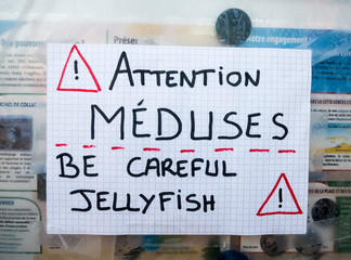 Obraz premium Achtung Quallen!
