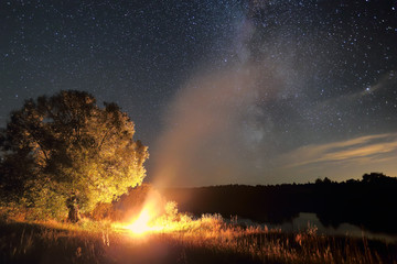 Fototapeta na wymiar Lonely tree and bonfire at night