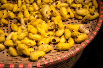 Empty yellow cocoons silkworm in a basket