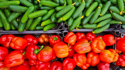 vegetables on the shelf
