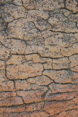 dry rock craquelure texture