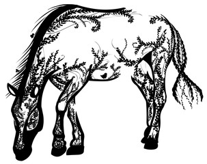 Obraz premium horse design made with tangle of creepers