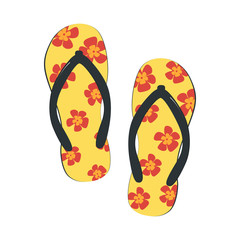 Flip-flops with orchids isolated on a white background. Vector