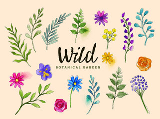 Wild Botanical Plants and Flowers vector