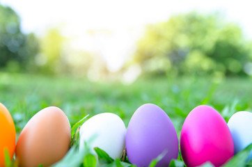 Easter eggs in grass against blurred green background. Spring holidays concept