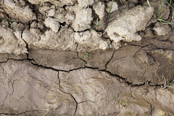 Wet earth with mud
