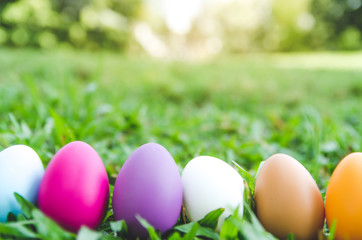 Easter eggs in grass against blurred green background. Spring holidays concept