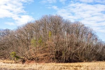 Strange dome shaped ground formation with trees growing out of it at all angles