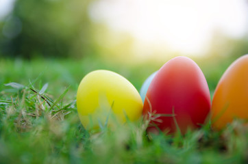 Easter eggs in grass against blurred green background. Spring holidays concept