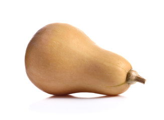  Pumpkin with  on the white