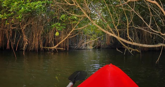 Red canoe boat entering in natural tunnel of mangrove forest. Summer water sport activity background.