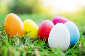 Easter eggs in grass against blurred green background. Spring holidays concept