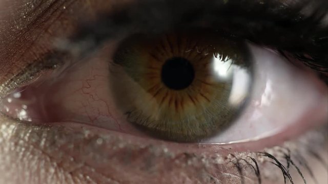 Up close view of woman's hazel eye