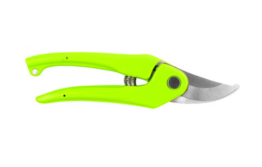 Obraz premium Green garden pruner