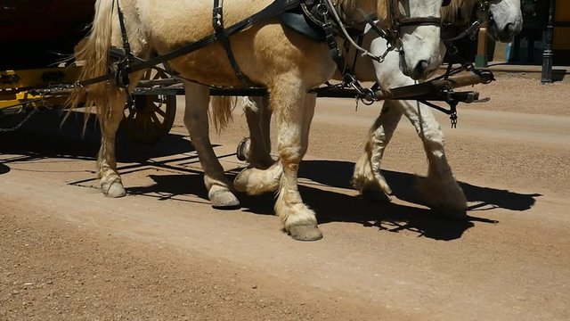 Close up of a team of horses pulling a stagecoach