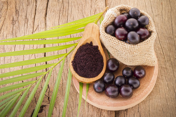 The amazon acai fruit (Euterpe oleracea)