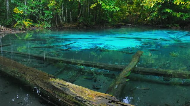 Beautiful emerald water pool. Natural spring scenic tropical landscape in Krabi, Thailand