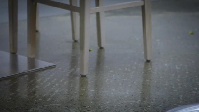Slow motion the house mouse running around furniture of the kitchen. Slowmo of mus musculus searching for food inside a house-Dan
