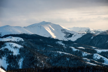 Winter trees in mountains covered with fresh snow