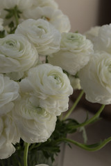 bouquet of white ranunculus