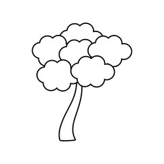 outlined tree sakura japanese vector illustration eps 10