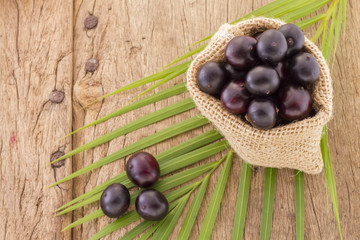 The amazon acai fruit (Euterpe oleracea)