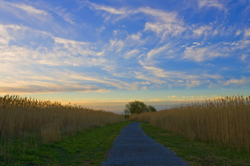 Naklejka premium Sunrise. Silent Place
