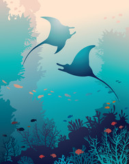 Two mantas and coral reef.