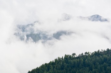 Misty Mountain During the Early Morning in Paro, Bhutan