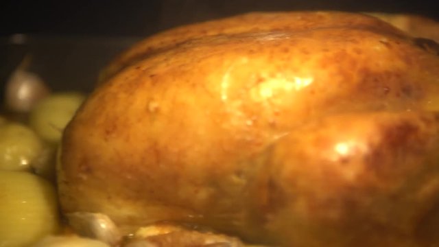 4K Thanksgiving Turkey Cooking In Oven. Preparing tipical delicious chicken food. Tasty traditional dish Thanksgiving Day-Dan