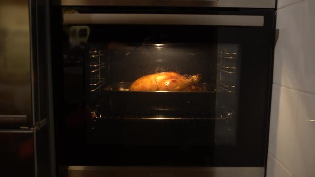 4K Thanksgiving Turkey Cooking In Oven. Preparing tipical delicious chicken food. Tasty traditional dish Thanksgiving Day-Dan