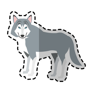 wolf animal icon image vector illustration design 