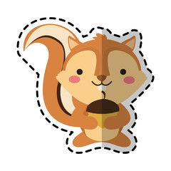 squirrel animal icon image vector illustration design 