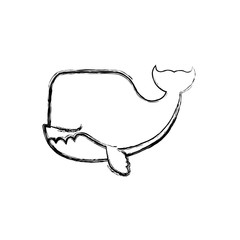 whale cartoon drawing animal vector icon illustration faceless