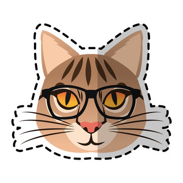 cat hipster animal icon image vector illustration design 