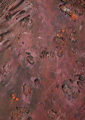 Abstract brown texture 
