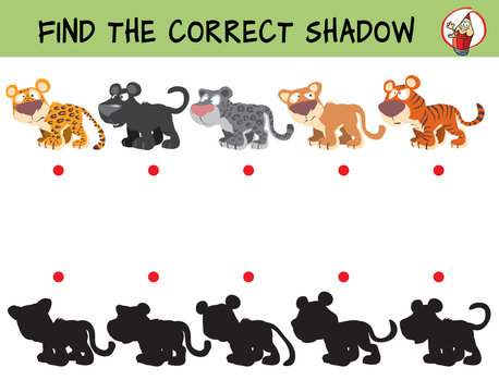 Big cats. Leopard, panther, snow leopard, puma, tiger. Find the correct shadow. Educational game for children. Cartoon vector illustration.