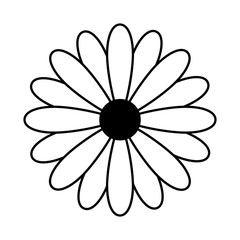 cute flower isolated icon vector illustration design