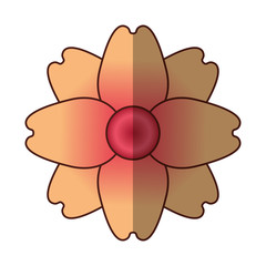 cute flower isolated icon vector illustration design