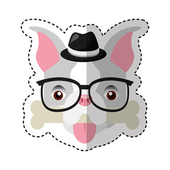 cute french bulldog male with hipster accessory vector illustration design