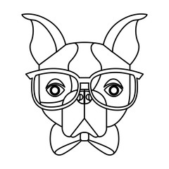 cute french bulldog male with hipster accessory vector illustration design