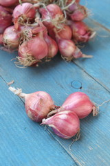Shallot onions a group on wood