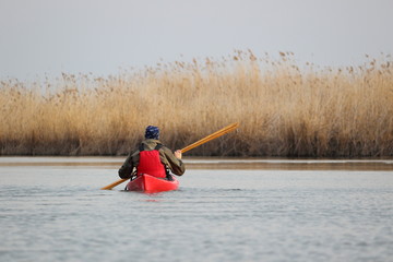 Man paddles a red kayak with wooden greenland paddle on river with dry bulrush in calm winter day © watcherfox