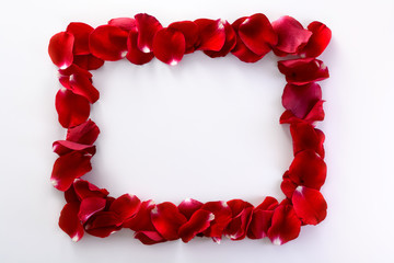 Beauty frame from rose's petals