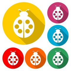 Ladybug icon in flat style