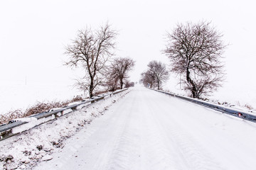 Fototapeta premium nevicata nelparco dell'alta murgia , Puglia (Italia)